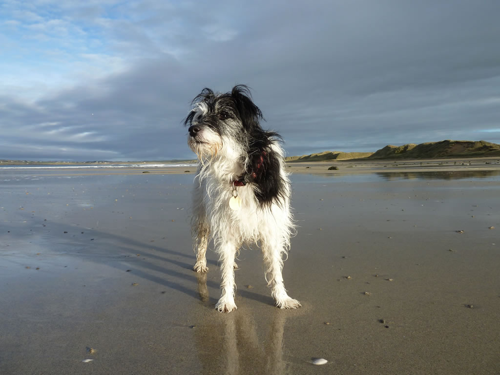 Dunnet Beach