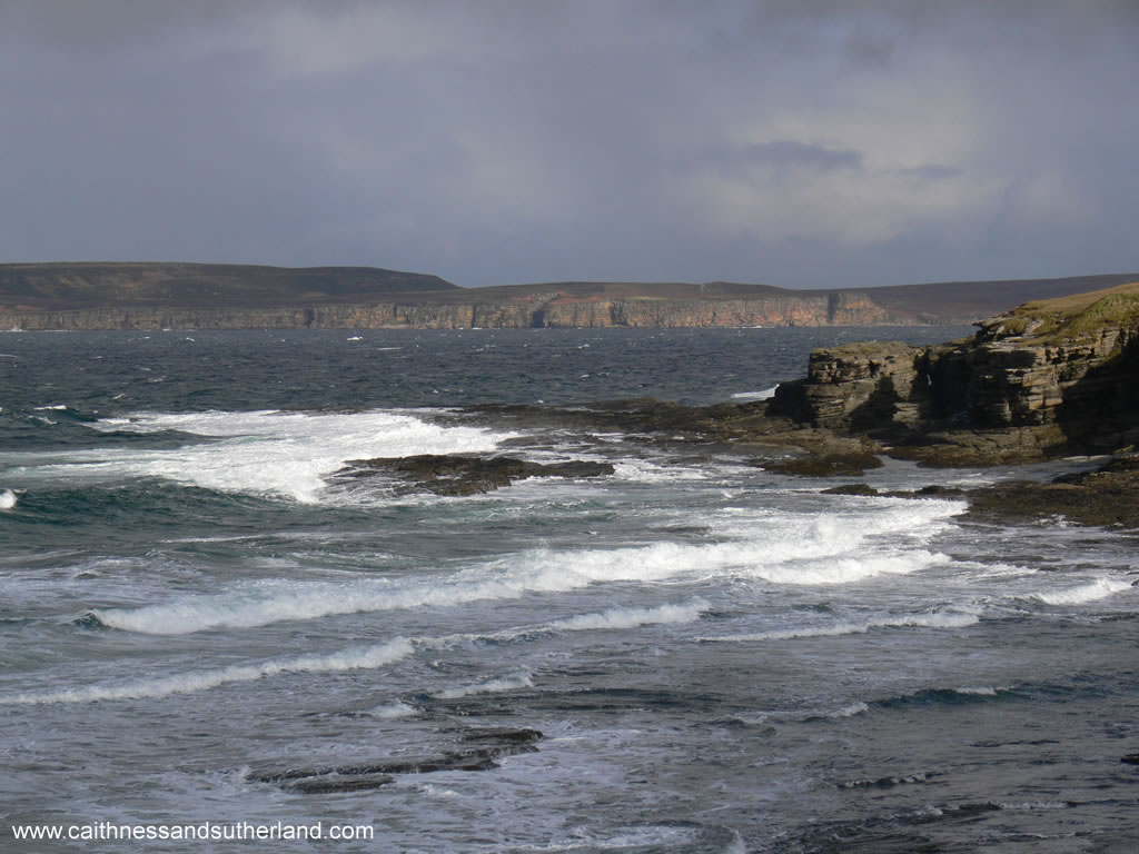 Wild Caithness